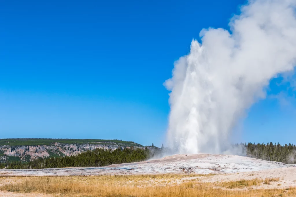 View of old faithful at yellowstone national park part of the grand circle adventure excursion with acx travel.
