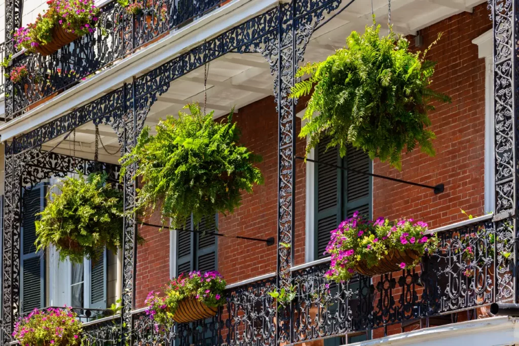 New orleans louisiana southern culture tour with acx travel.