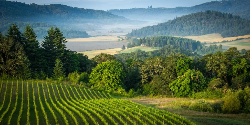 Wine tour in willamette valley oregon booked with acx travel.